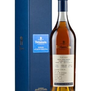 Delamain Single Vineyard Ambleville 1995 Cognac 70 cl