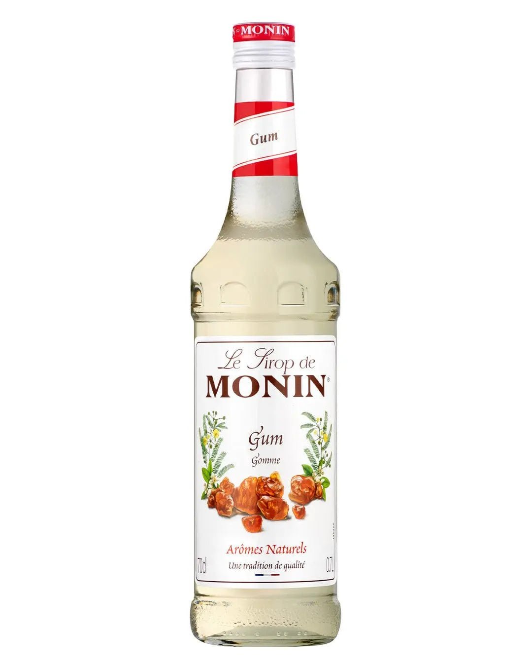 Monin Gomme Syrup 70 cl