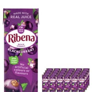 Ribena Blackcurrant Juice Drink 24 x 250 ml